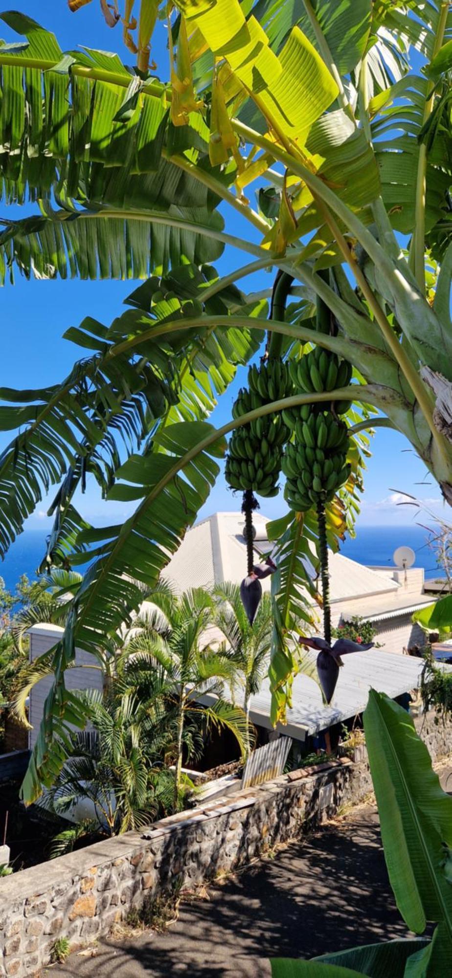 Villa Maloya Saint-Leu Luaran gambar